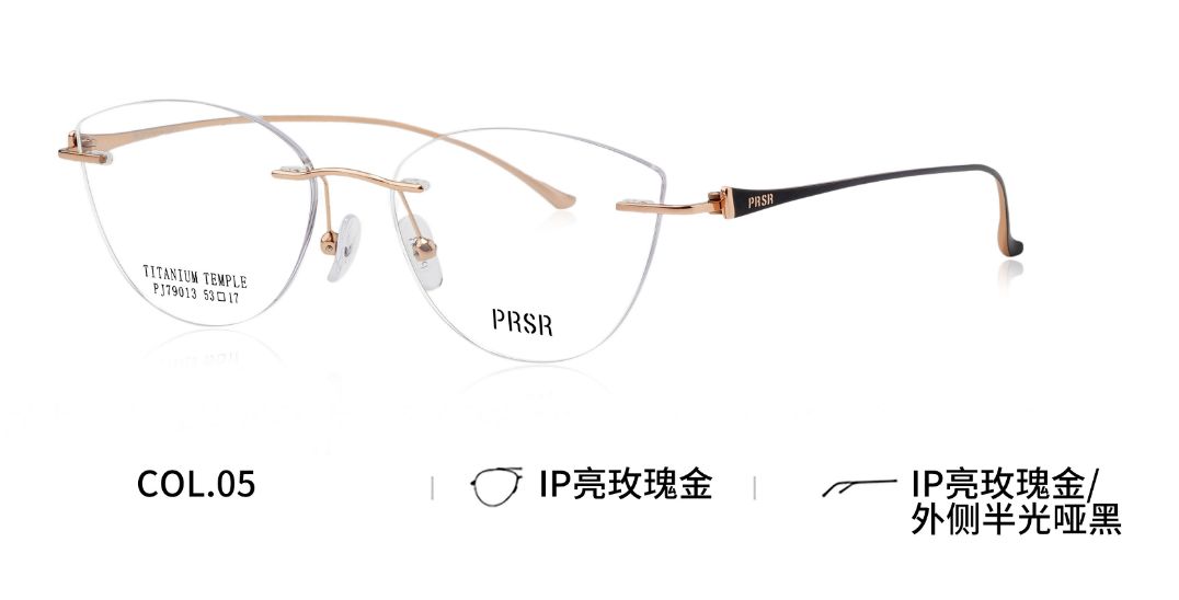 PJ79013