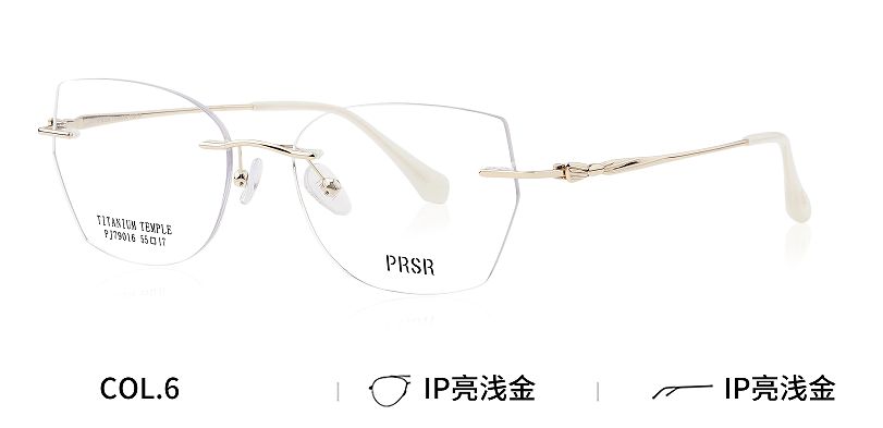PJ79016