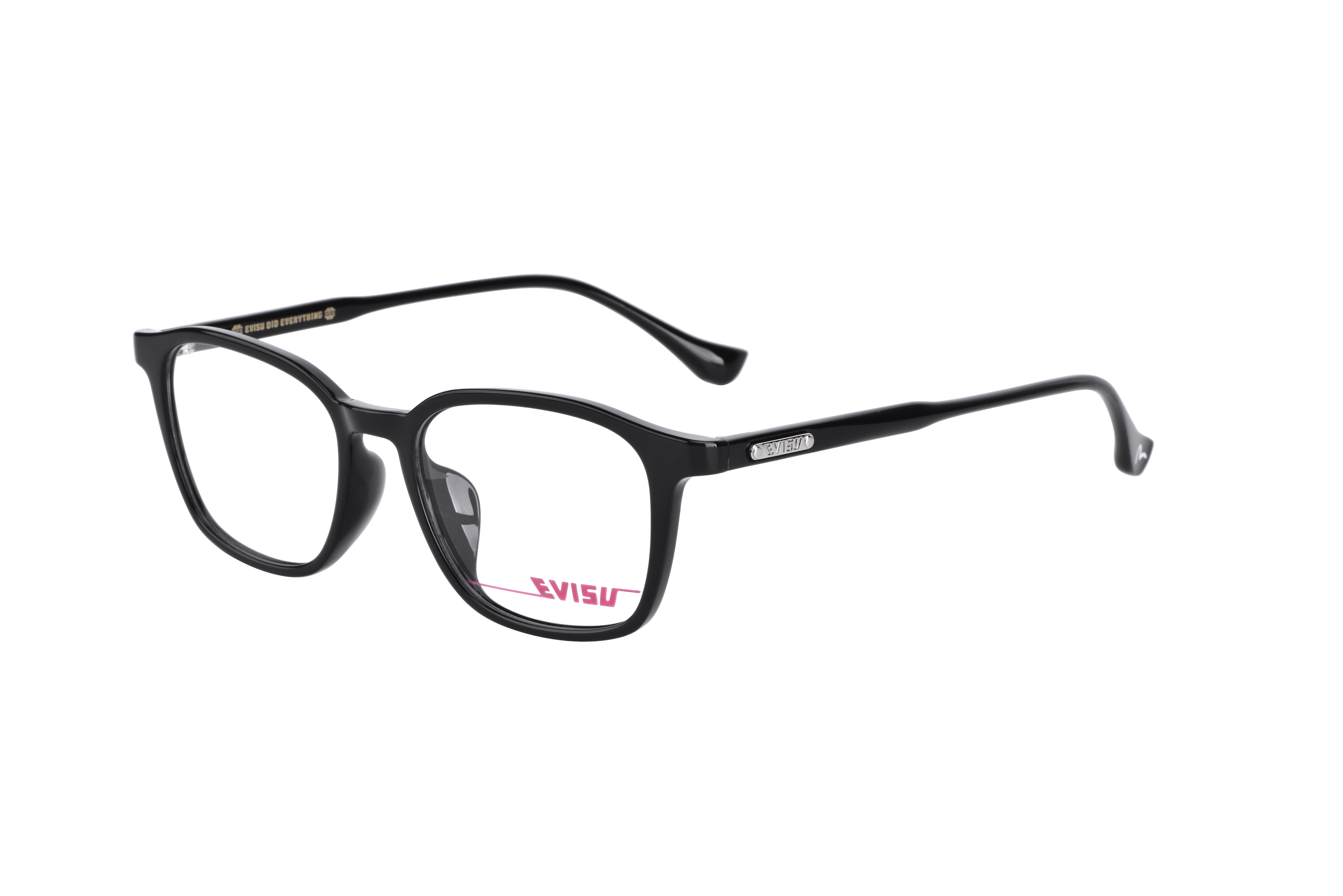 EVISU3110