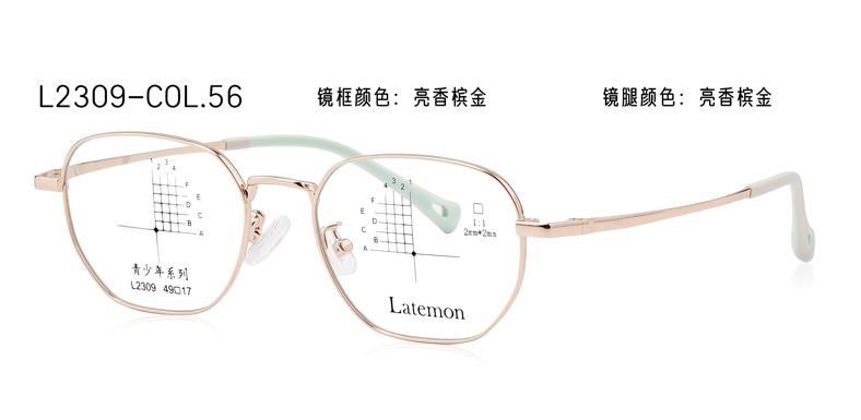 L2309
