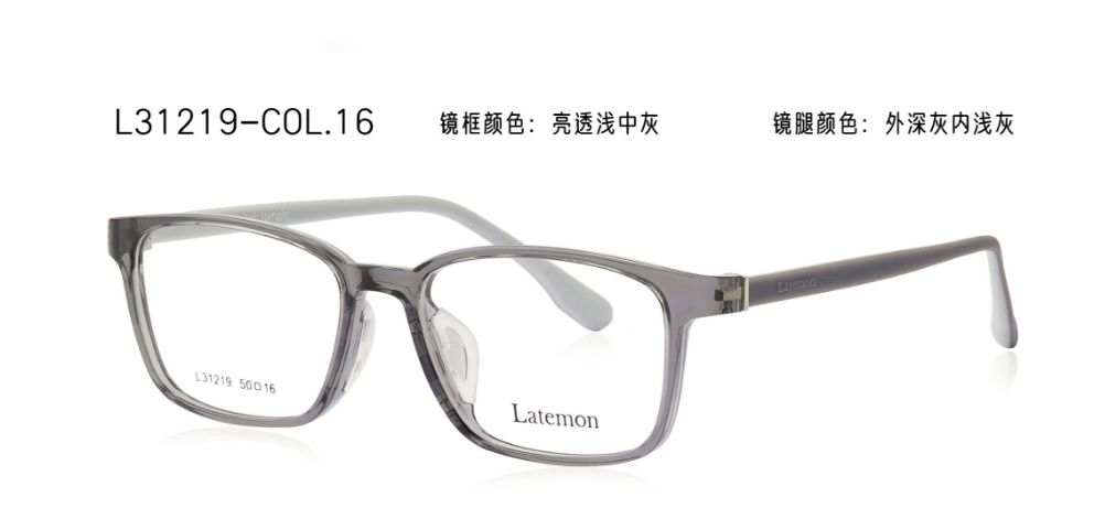 L31219