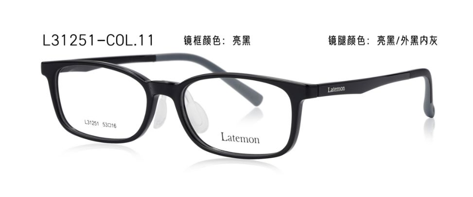L31251