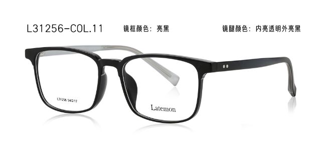 L31256