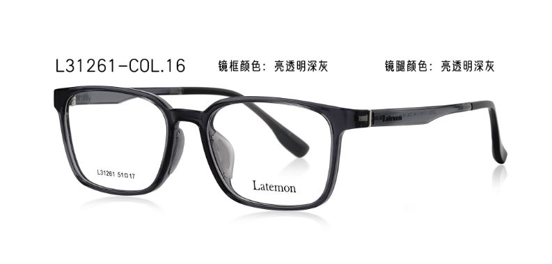L31261