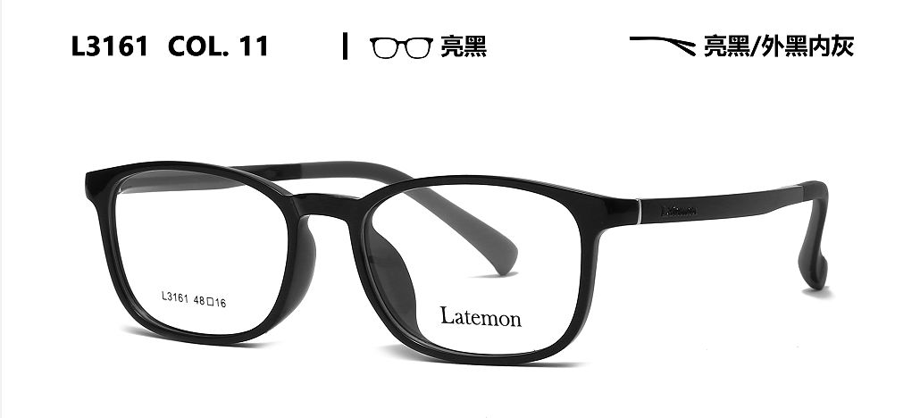 L3161