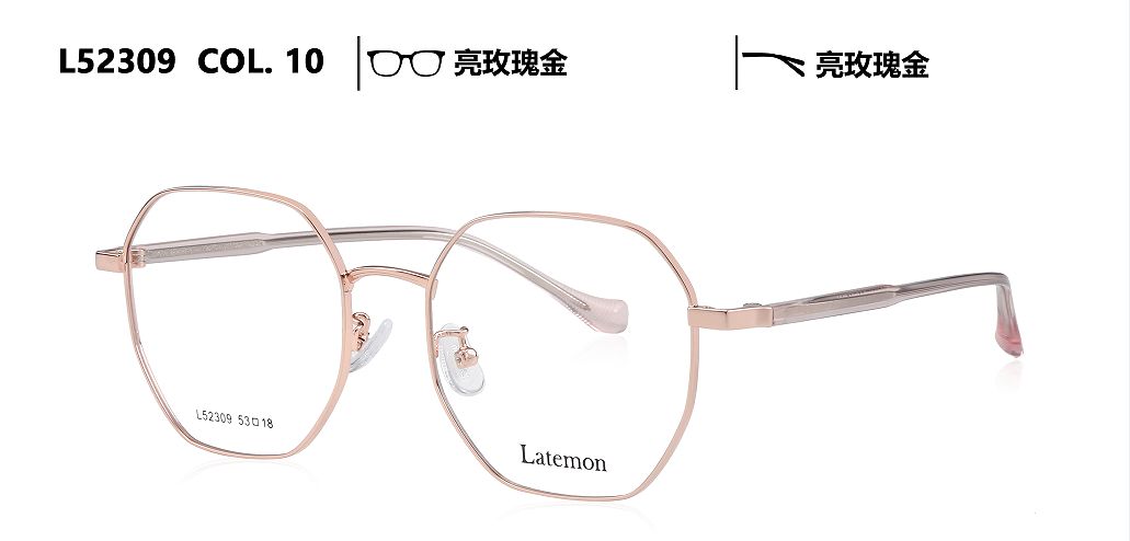 L52309