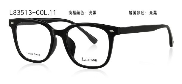 L83513
